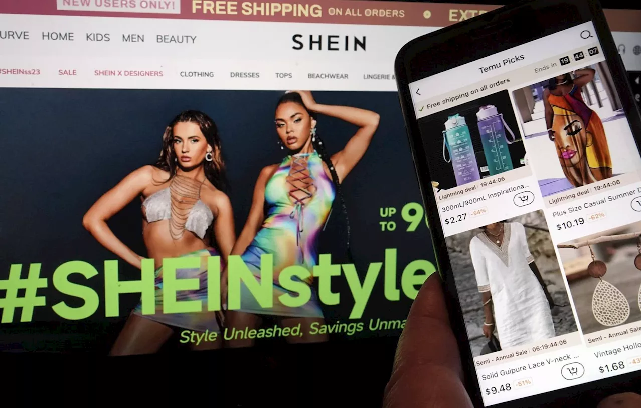 Shein, l'enseigne de mode qui a le plus séduit les Français en 2024