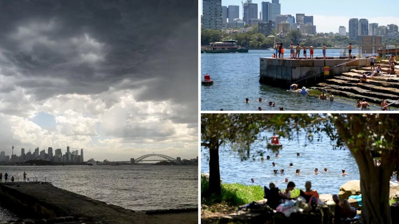 Heatwave Scorches East Coast as Severe Storms Cause Chaos