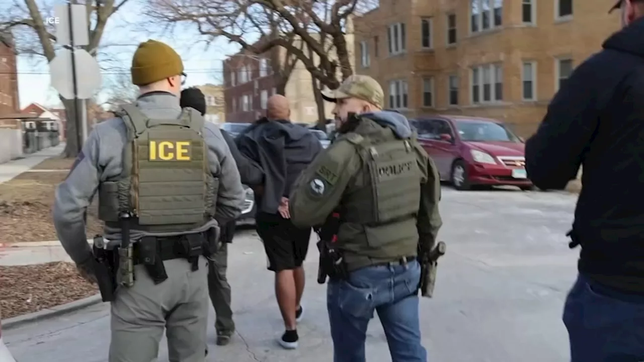 ICE raids continue as Mayor Johnson called to testify on Chicago's sanctuary city policy