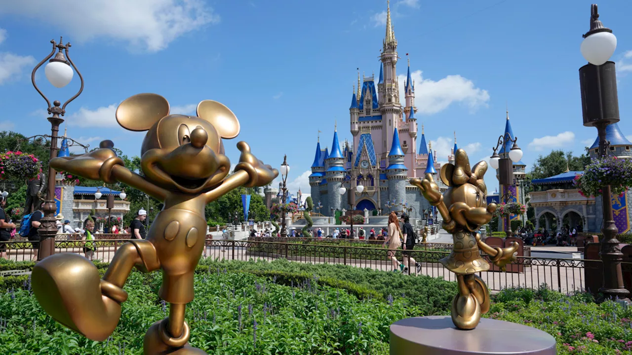 Travel Expert Shares Disney Tips for National Plan for a Vacation Day