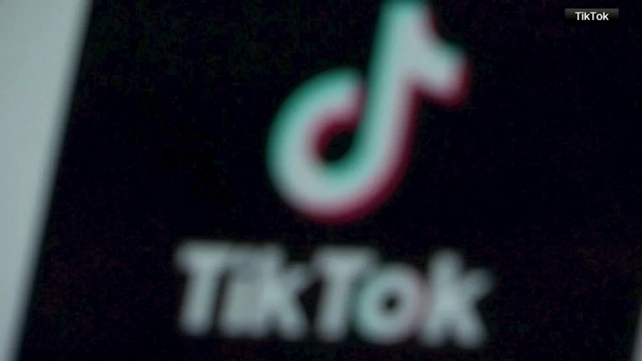 Trump Says Microsoft Among US Companies Interested in TikTok