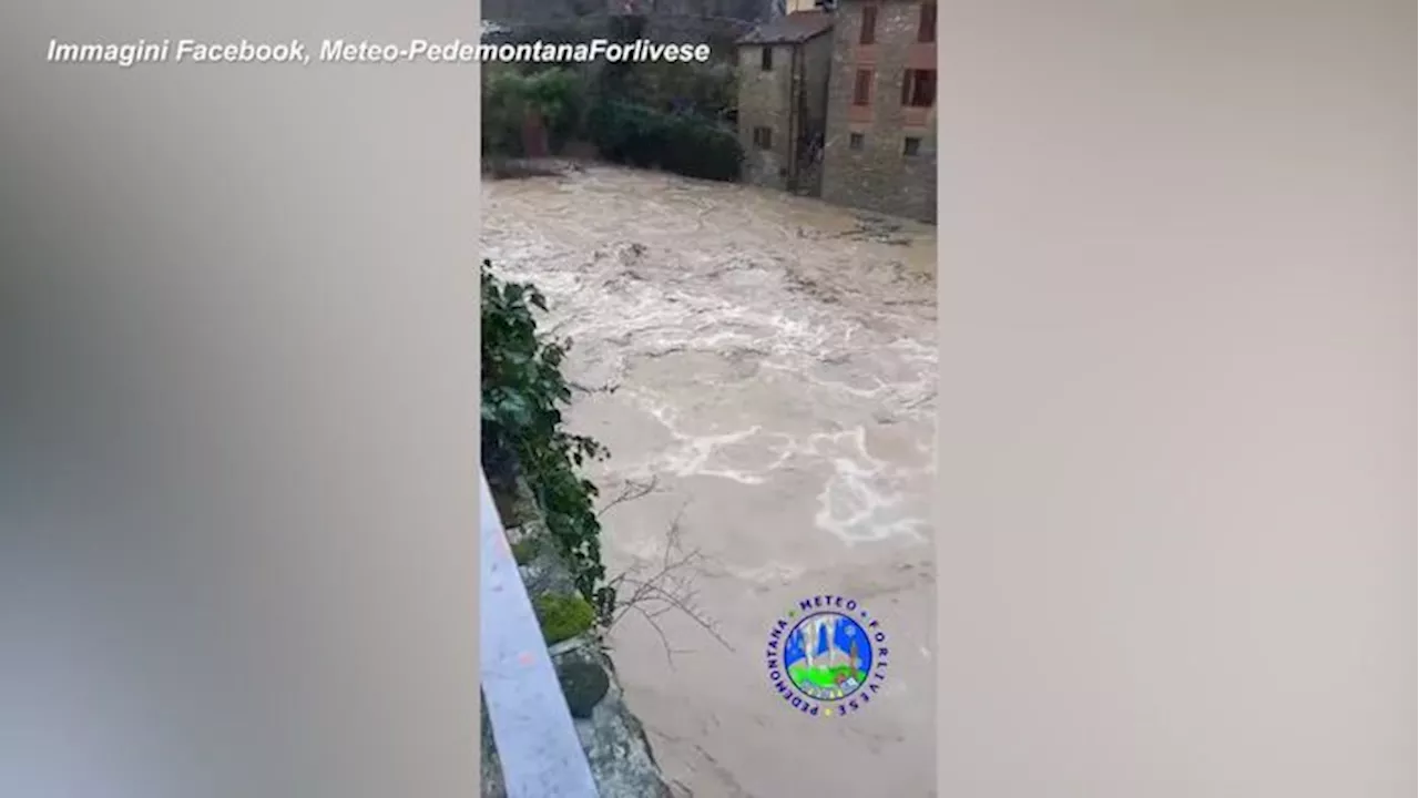 Maltempo in Emilia-Romagna, le forti piogge ingrossano il fiume Lamone