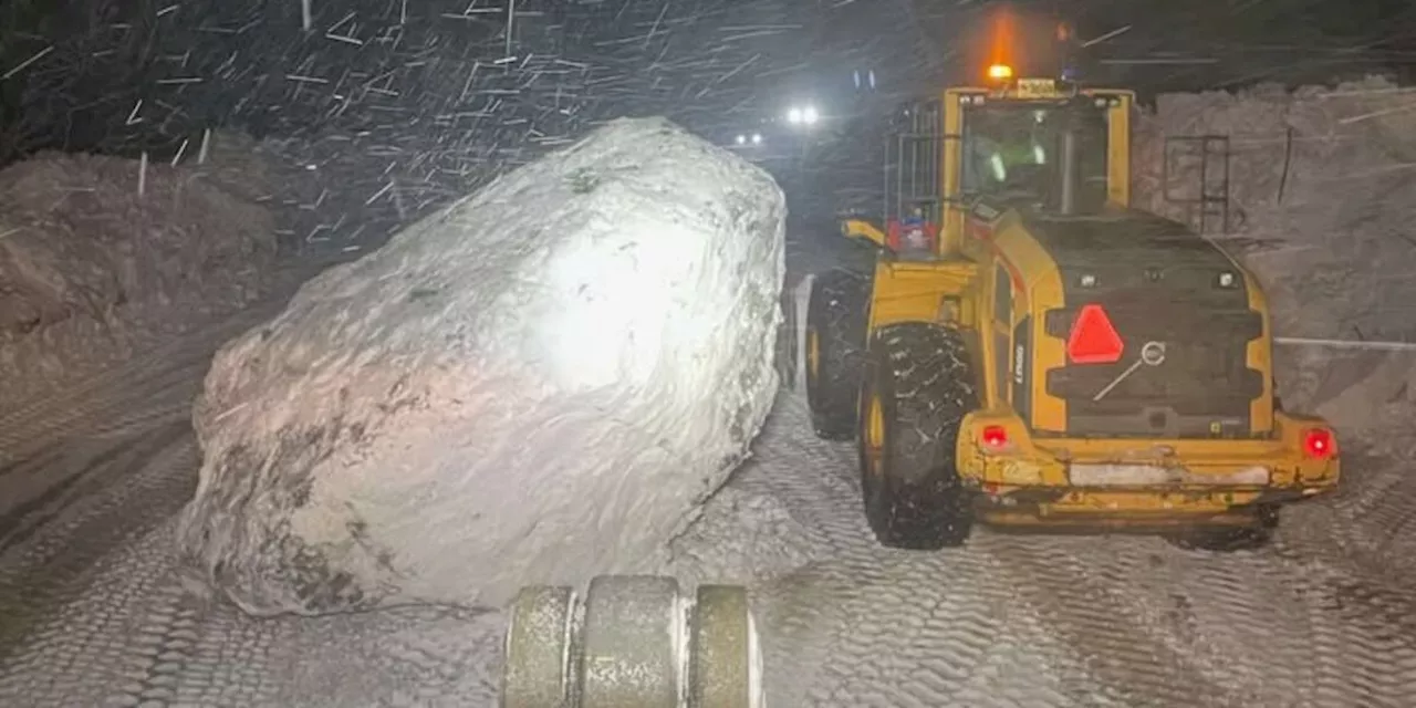 Cleanup efforts underway after multiple avalanches over the weekend