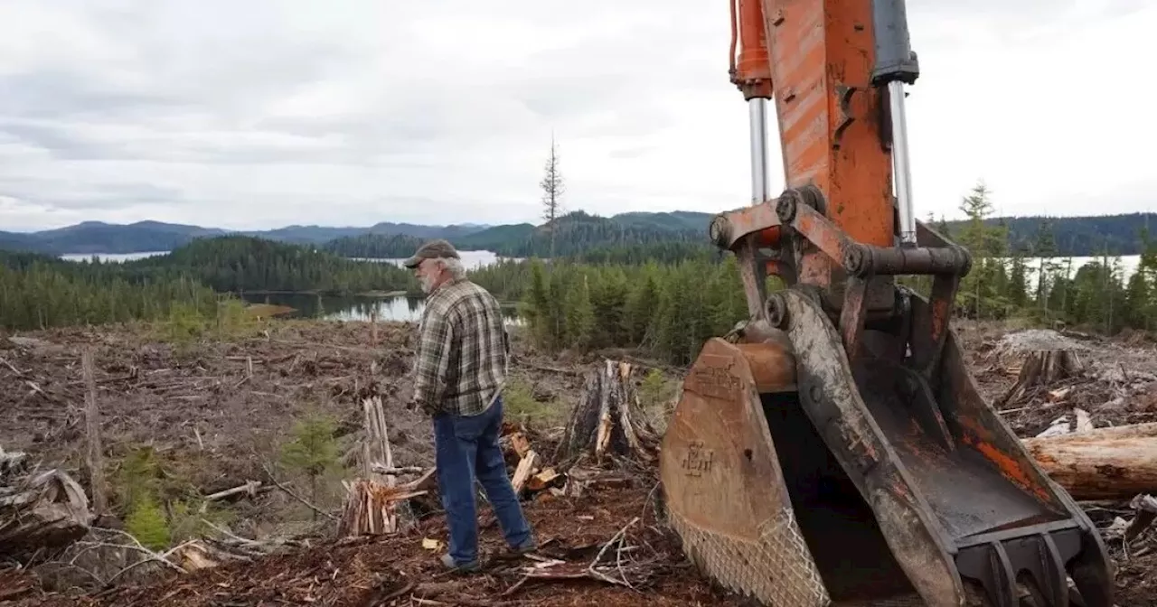 With Trump’s new pro-timber order, Alaska conservationists poised to rehash Tongass Roadless Rule