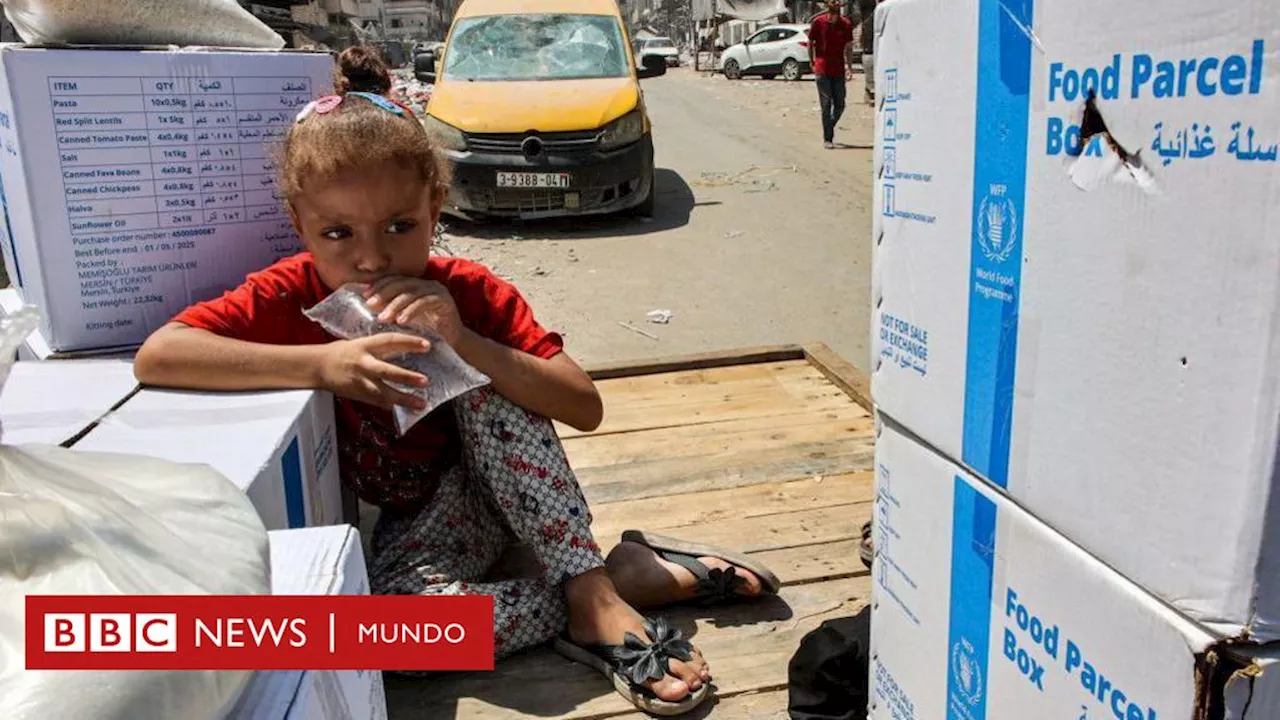 La prohibición de Unrwa: Un vacío para los palestinos