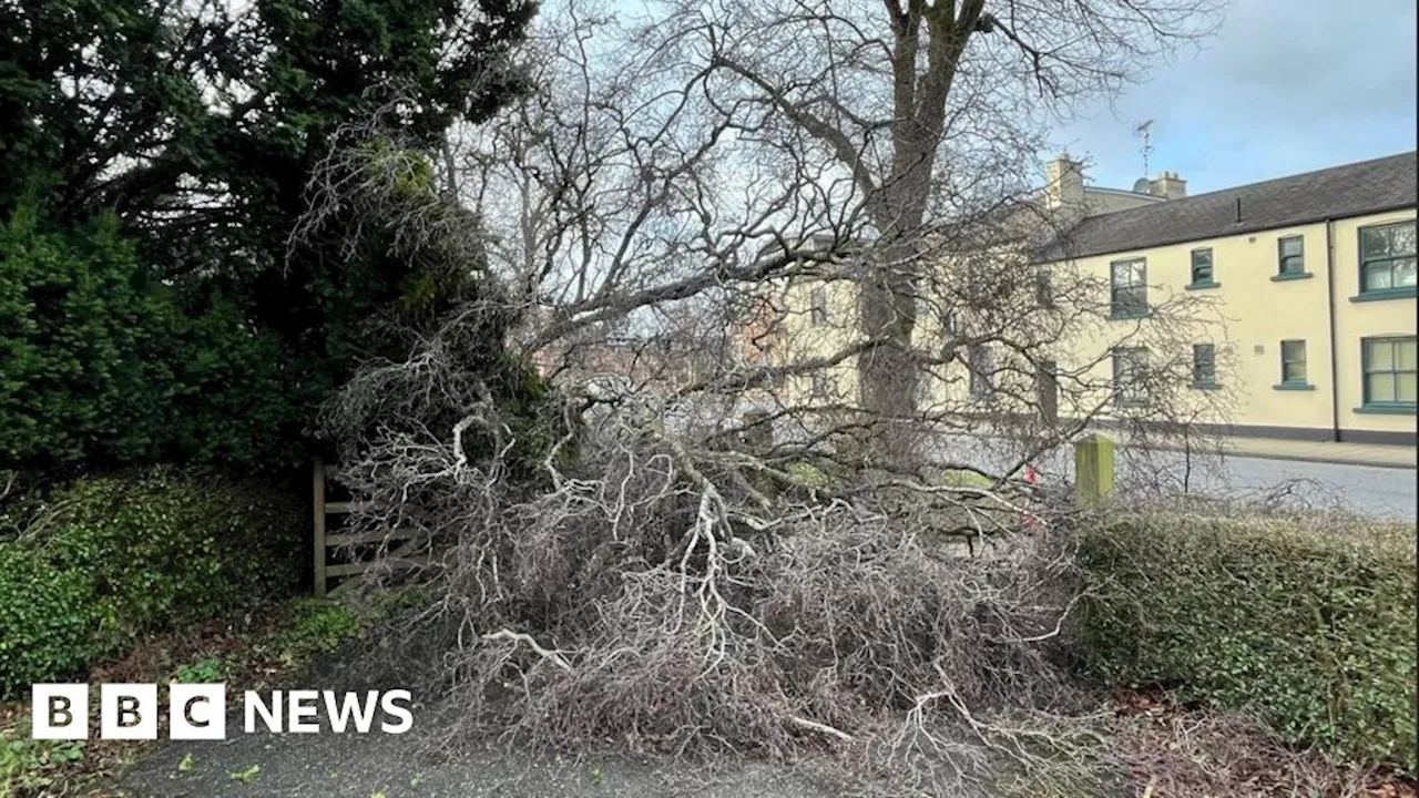 Rogue traders warning after Storm Éowyn damage