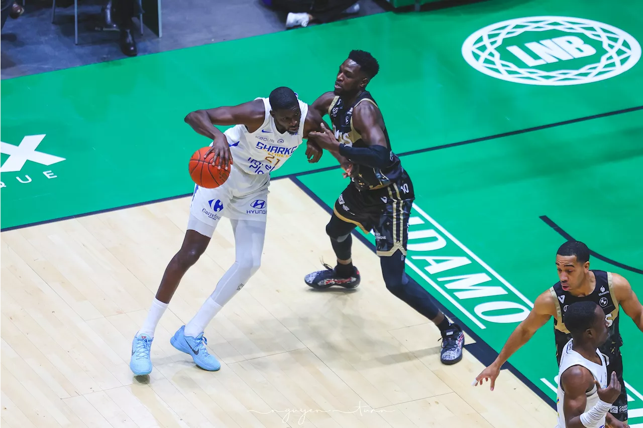 Après 9 défaites en 10 matchs, les Sharks d’Antibes veulent « rester soudés »