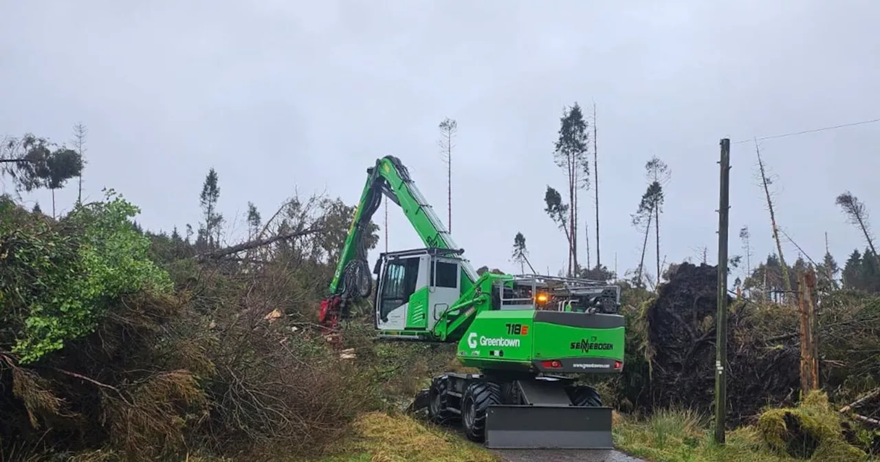 Family Trapped at Home by Storm Éowyn Debris