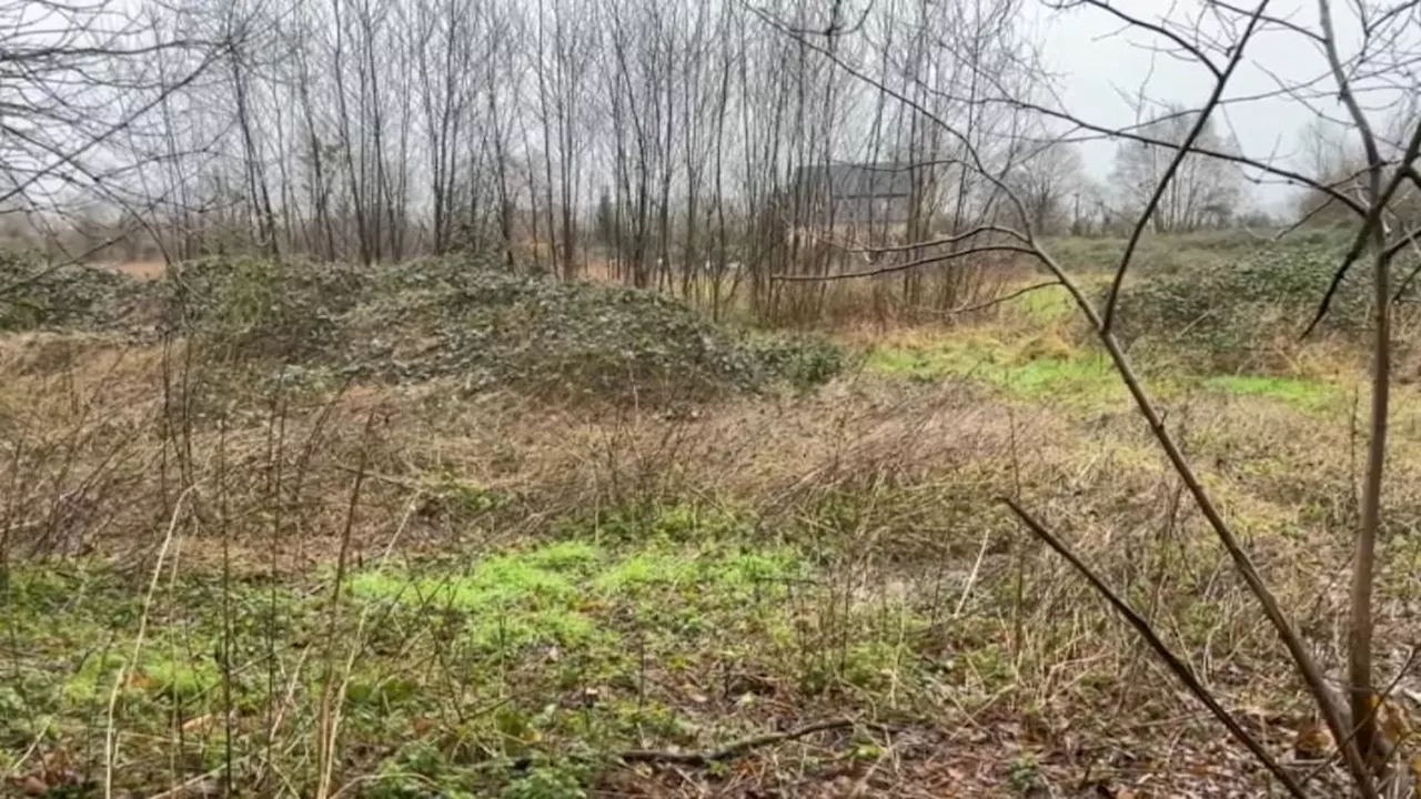 Double meurtre dans le Calvados: le suspect mis en examen et placé en détention provisoire