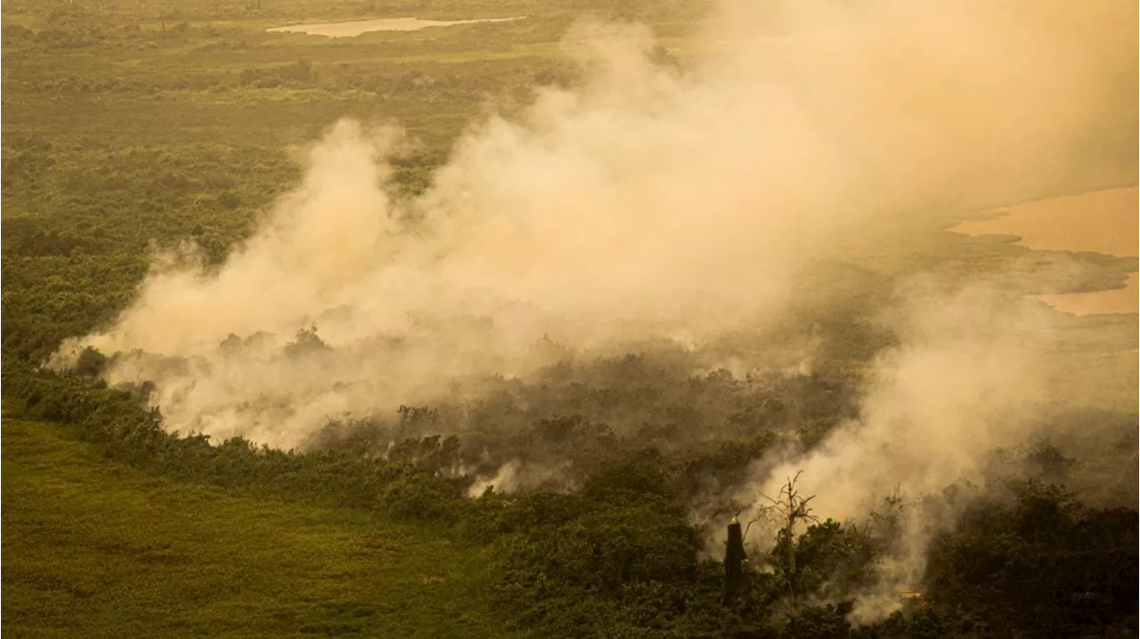 AGU Ação Contra Danos Ambientais no Pantanal Exige R$ 725 Milhões