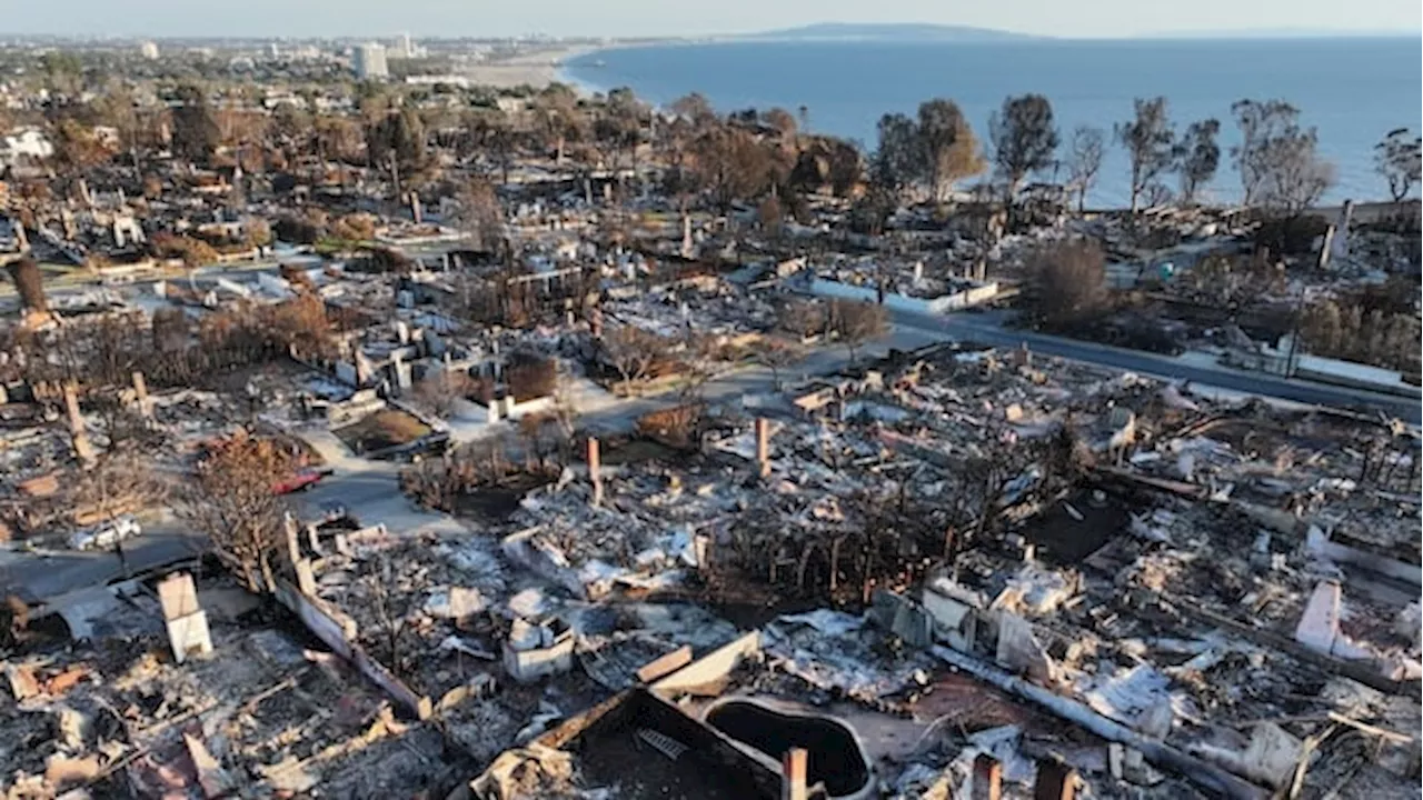 Southern California gets much-needed rain after weeks of fire, but toxic ash and mudslides a concern