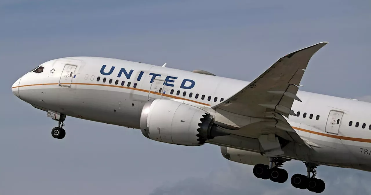 NTSB investigating 'sudden aircraft movement' on United Airlines flight that injured dozens