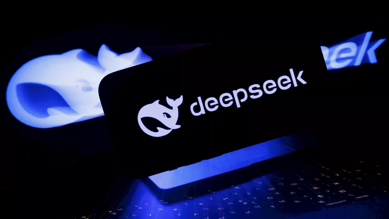 4 portfolio stock winners from DeepSeek's emergence — and 2 we're less sure about