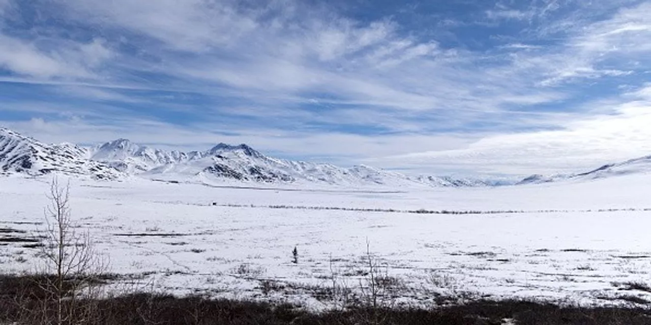 Arctic Permafrost Thaw Turns Region into Carbon Source