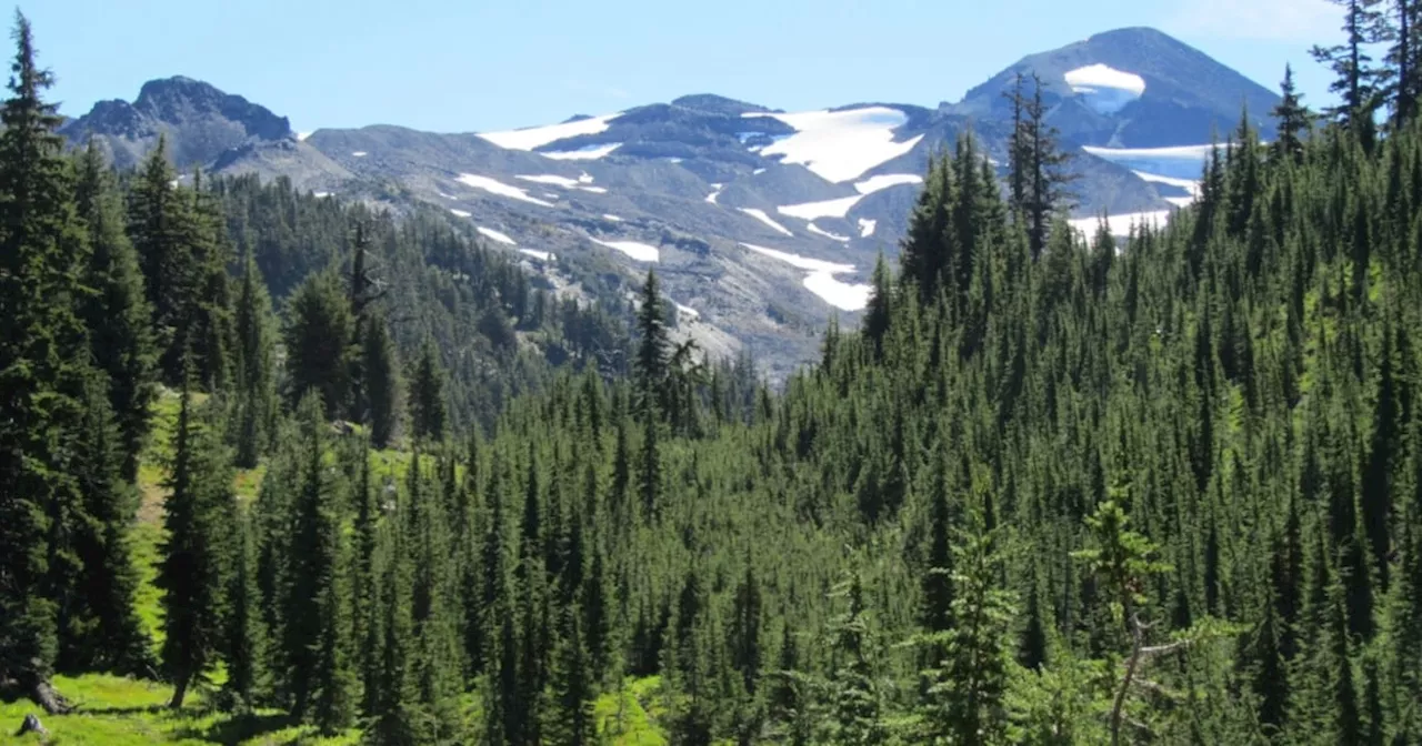 Canada Closes Pacific Crest Trail to Hikers Entering From U.S.