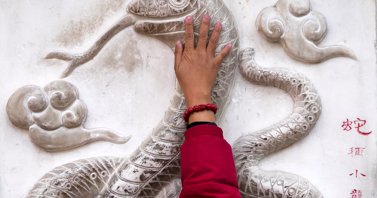 Woman Touches Snake Figure Ahead of Chinese Lunar New Year