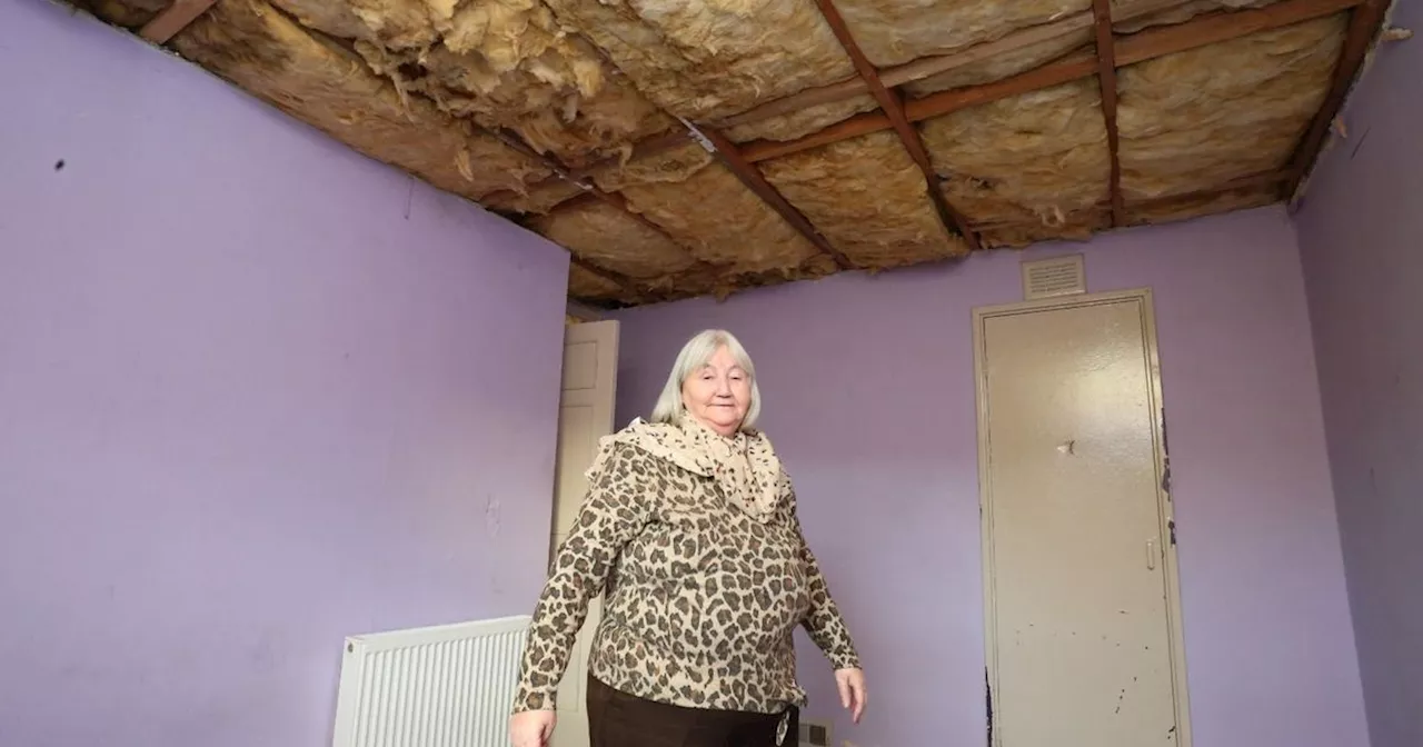 Gran left unable to sleep in bedroom after ceiling ripped out