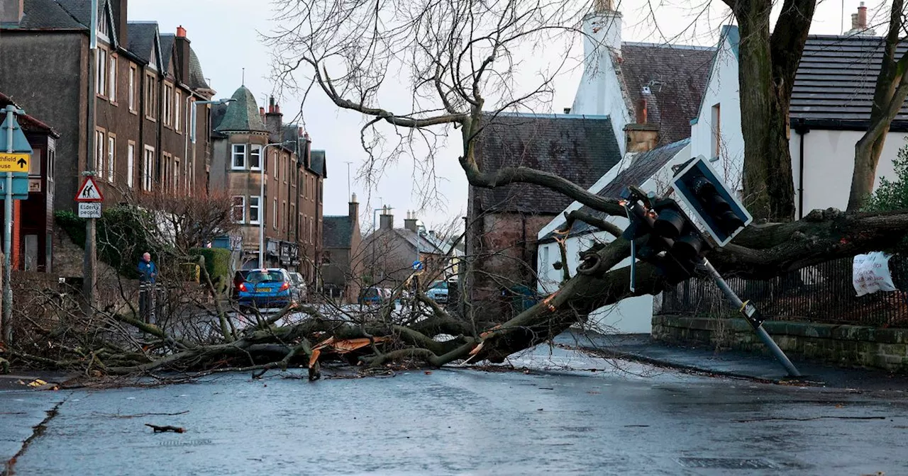 Rogue Traders Exploit Storm Éowyn Damage, Targeting Vulnerable Scots