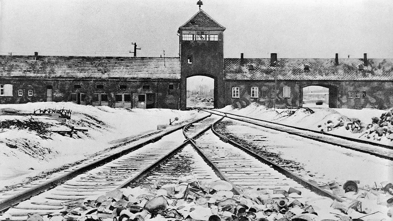 Auschwitz Visit Uncovers 80-Year-Old Family Mystery for Bronx Teen