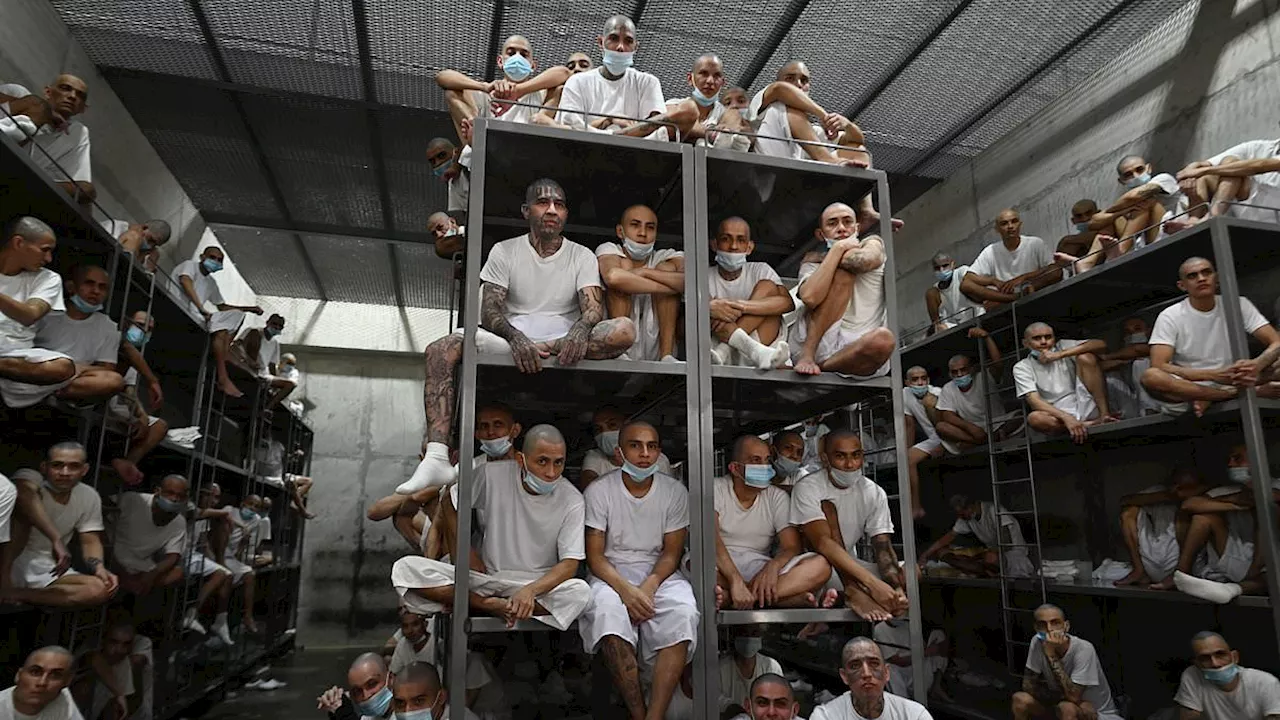 El Salvador's 'Alcatraz': Two Years Inside CECOT, the Controversial Mega-Prison