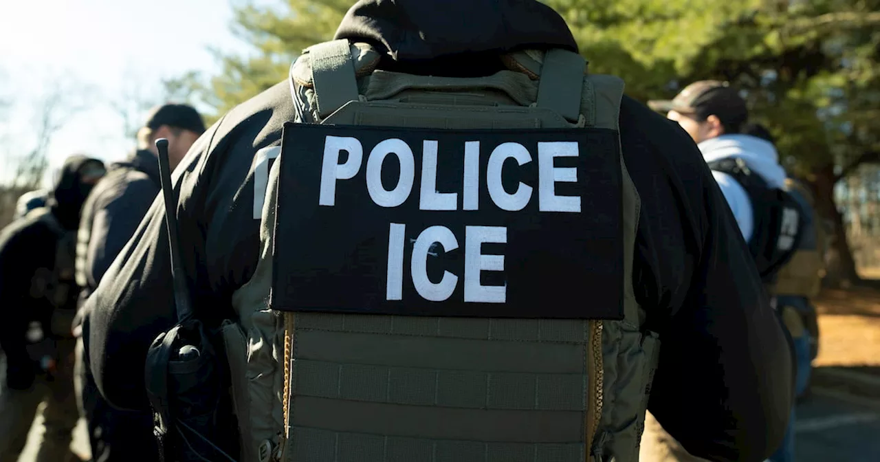 ICE arrests more than 80 in Dallas-Fort Worth area in ‘targeted operations,’ official says