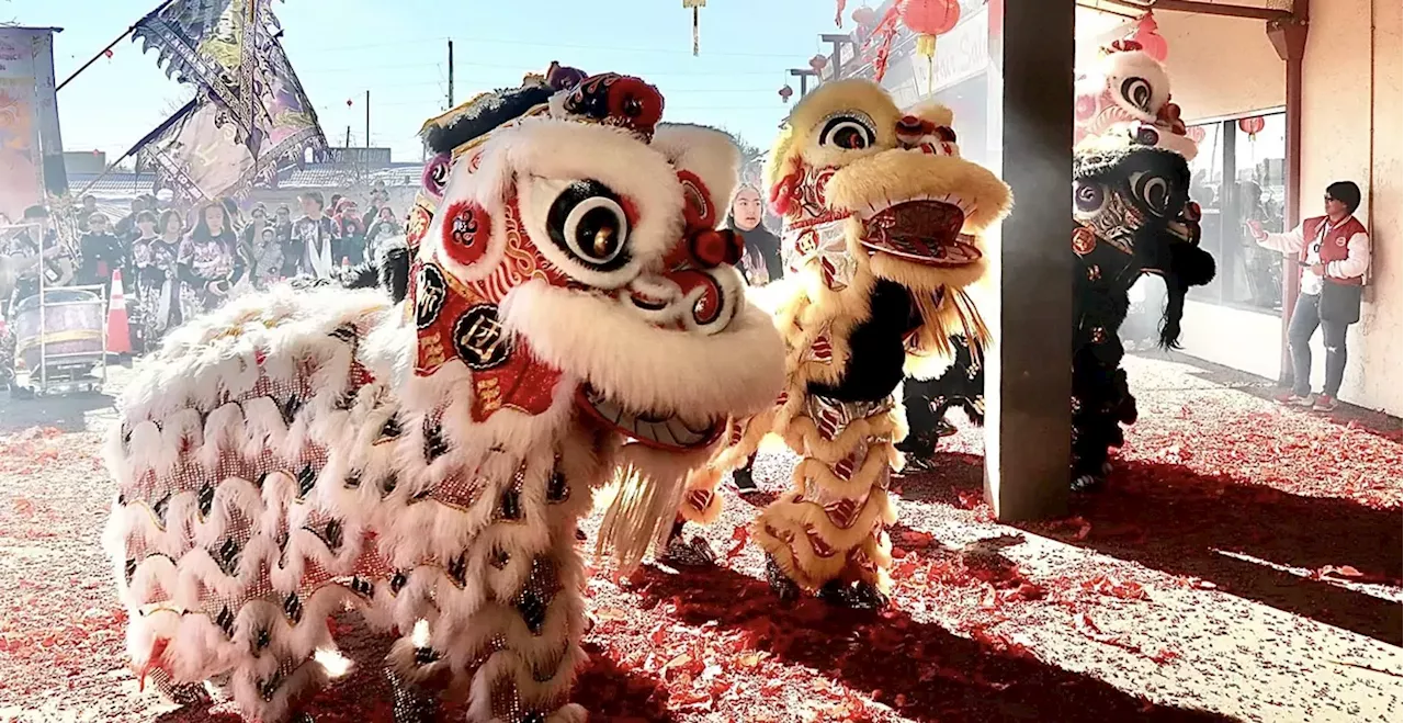 Denver Celebrates Lunar New Year 2025 with Festive Events and Culinary Delights