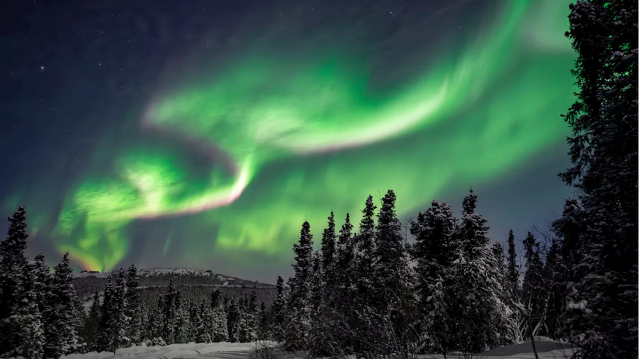 NASA Hopes to Unlock Secrets Behind Northern Lights, Including Black Auroras