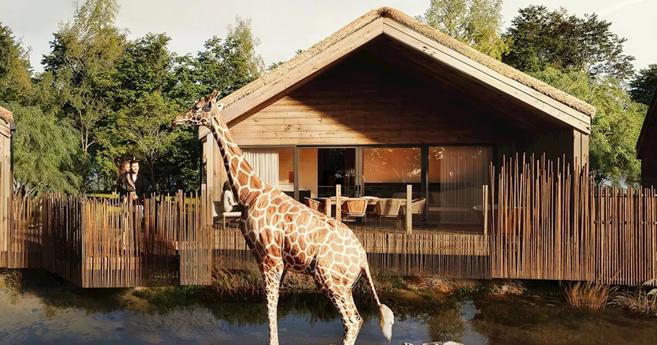 The Reserve at Chester Zoo: Luxury Lodge Experience with Conservation Focus