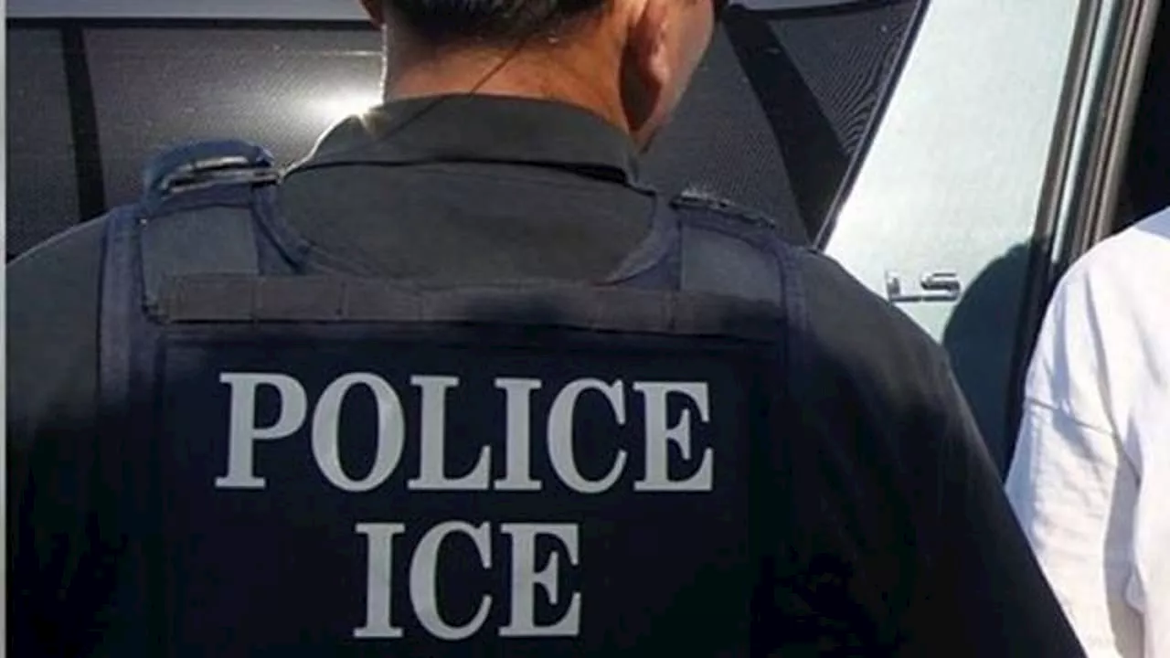 Illinois GOP bill would require law enforcement to coordinate with ICE