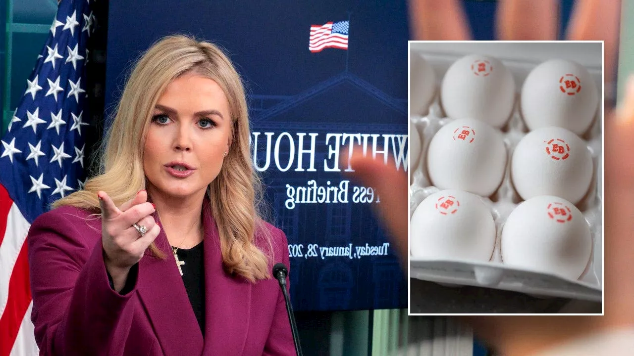 White House Press Secretary Blames Biden Administration for Egg Shortage