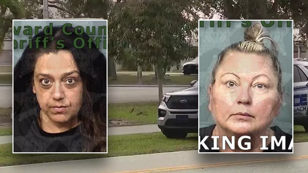 Florida principal busted for allegedly throwing wild, booze-fueled house party with 100 teens: police