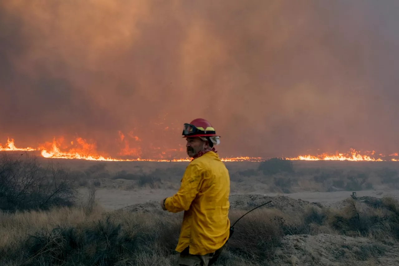 California Denies Trump's Claim of Military Water Release for Wildfires