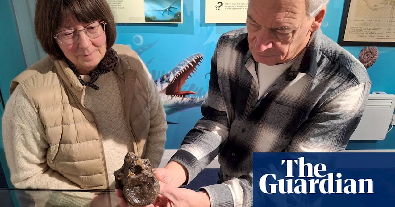 Swindon Stegosaur Fossil Goes on Display at Museum & Art Swindon