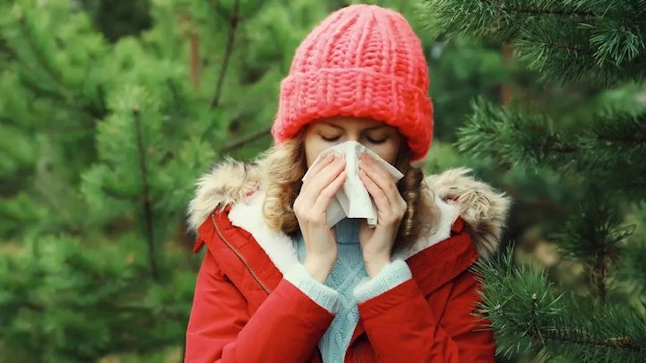 'Kritische Temperaturen' - Was der Klimawandel mit deiner Allergie zu tun hat