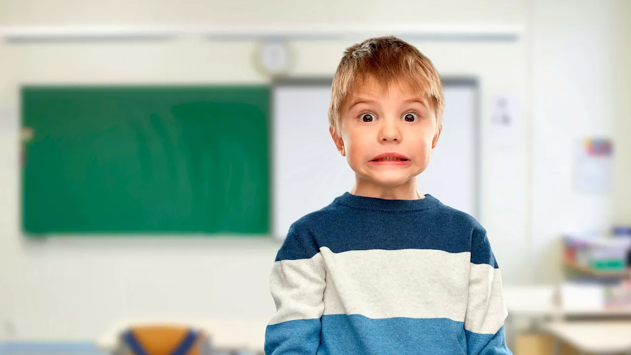 Schule ohne Stress: Hilfe, das Zeugnis kommt!