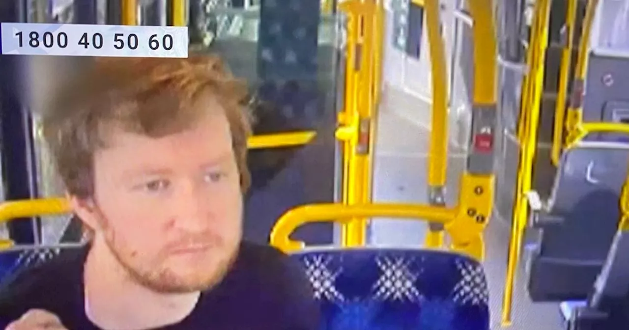 Gardaí Seek Witnesses After Shocking Bus Assault in Dublin