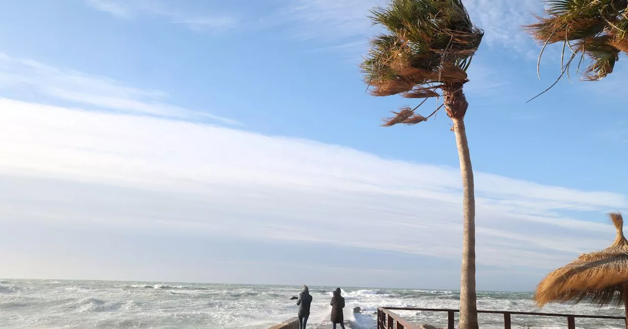 Urgent Warning for Irish Holidaymakers in Spain as Storm Herminia Batters Country