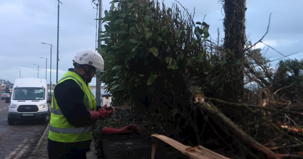 EU Sends Generators to Ireland After Storm Éowyn Leaves Thousands Without Power and Water