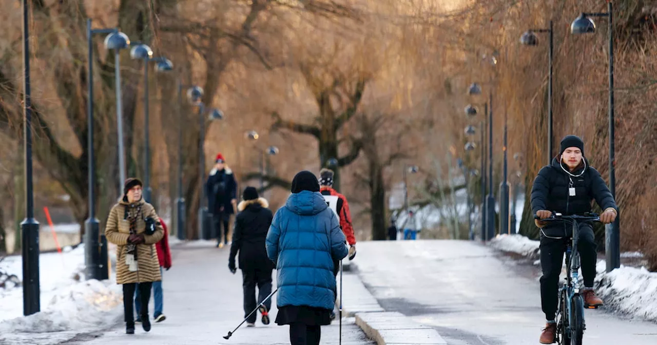 Health Beyond the Gym: How Different Cultures Embrace Movement