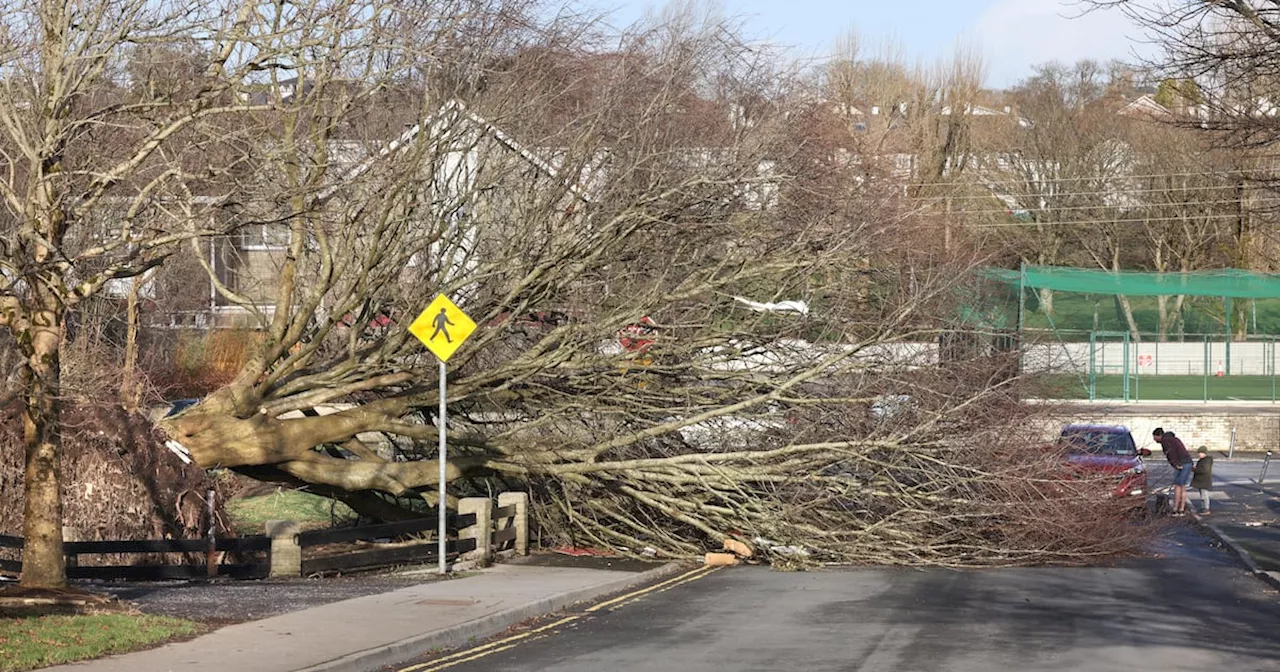 How can Ireland prepare for its next weather bomb?