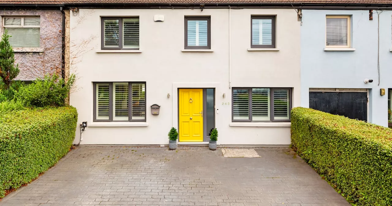 Renovated Family Home Offers Light-Filled Living and Private Garden Oasis