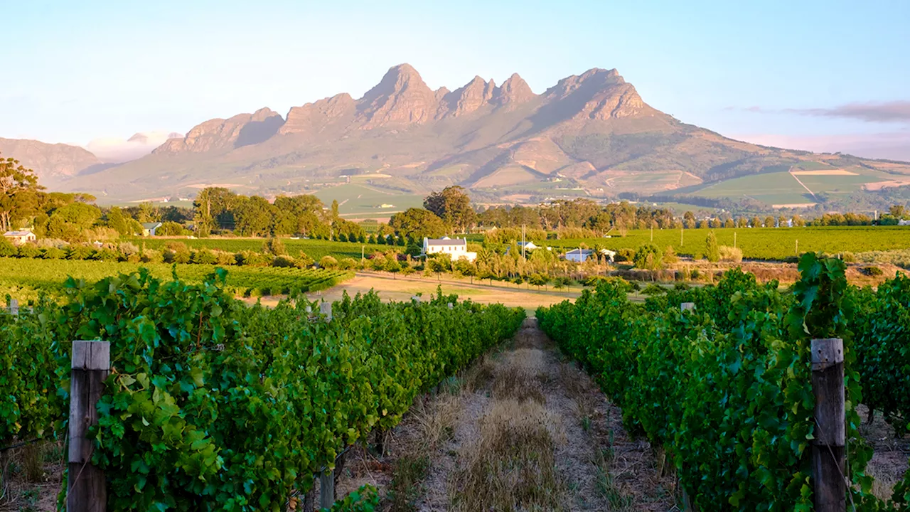 Stellenbosch Steals the Spotlight: South Africa's Emerging Tech Hub