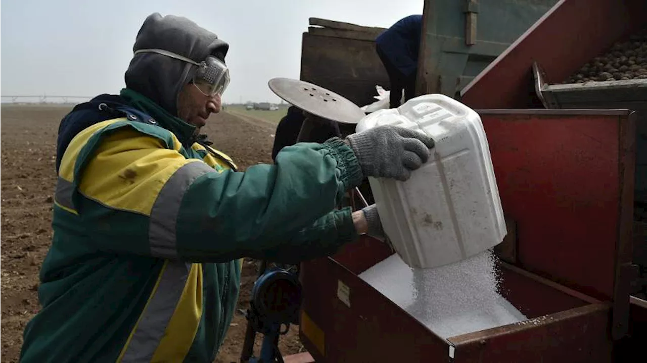 ЕК намерена ввести пошлины на сельскохозяйственную продукцию из РФ и Белоруссии