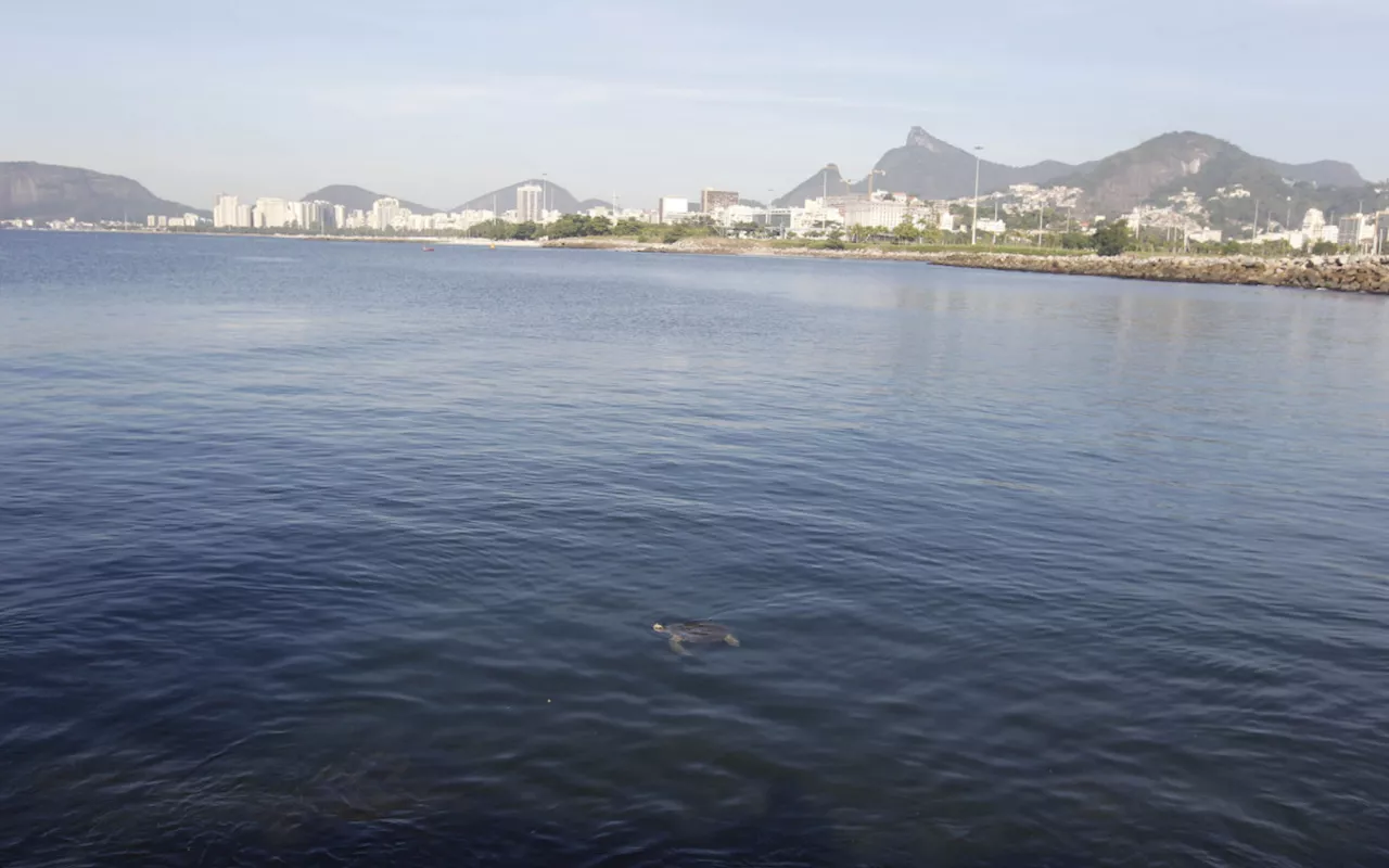 Mancha de óleo na Baía de Guanabara tem origem em navio-sonda, afirma Inea