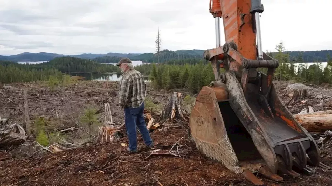 With Trump’s new pro-timber order, Alaska conservationists poised to rehash Tongass Roadless Rule