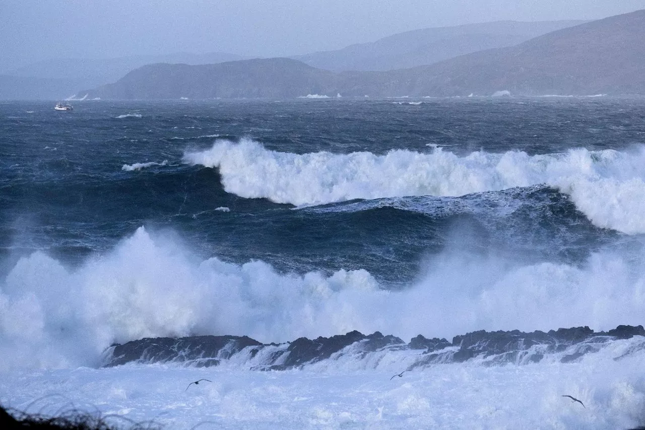 Tempête Eowyn: l'UE envoie des générateurs électriques à l'Irlande