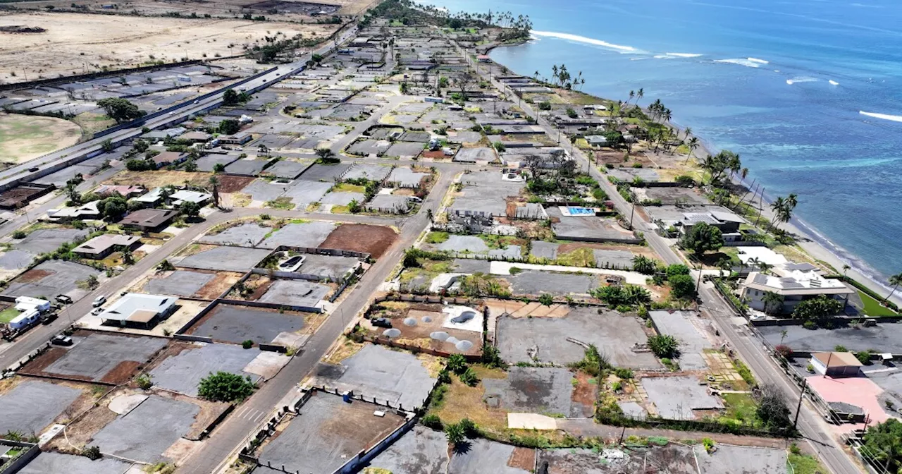 Lessons from Lahaina: Months of testing followed post-wildfire reopenings