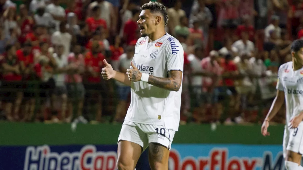 São Bernardo x Santos: onde assistir ao jogo pelo Campeonato Paulista