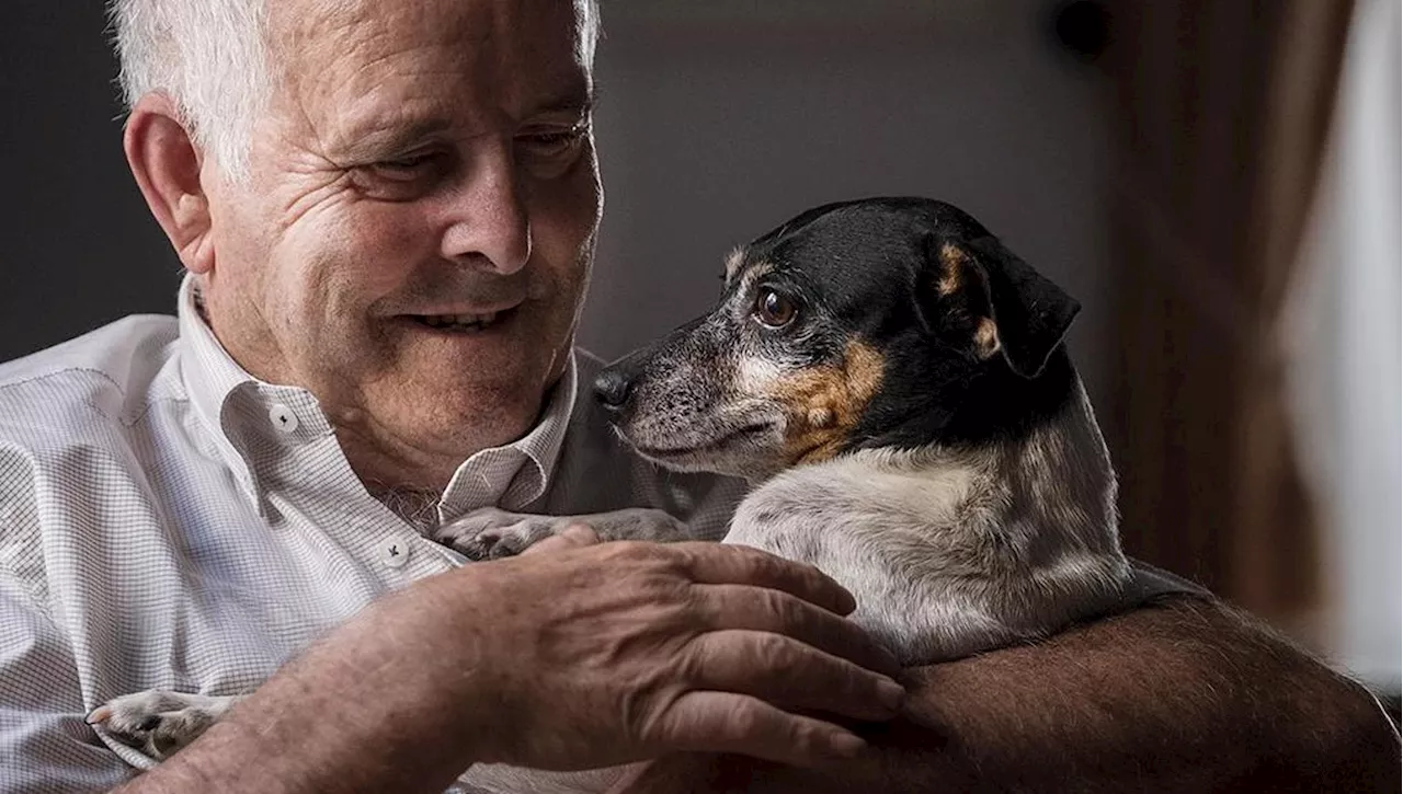 Il dottor C., il suo pensionamento non voluto e il ruolo salvifico del cane Origano