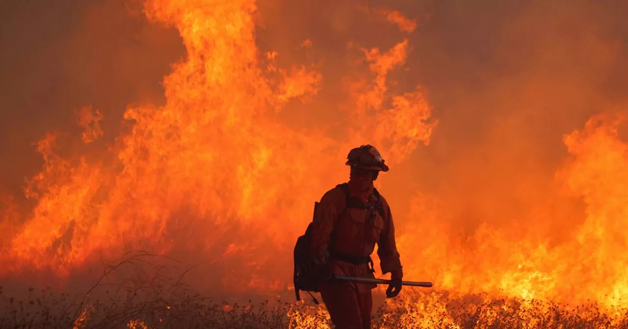 Les Incendies Devastateurs de Los Angeles: Un Impact Climatique Évident